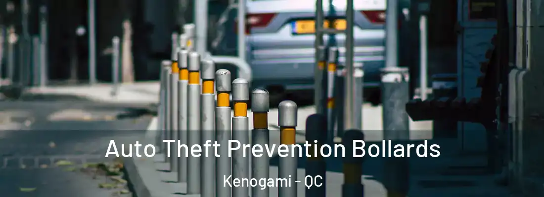 Auto Theft Prevention Bollards Kenogami - QC