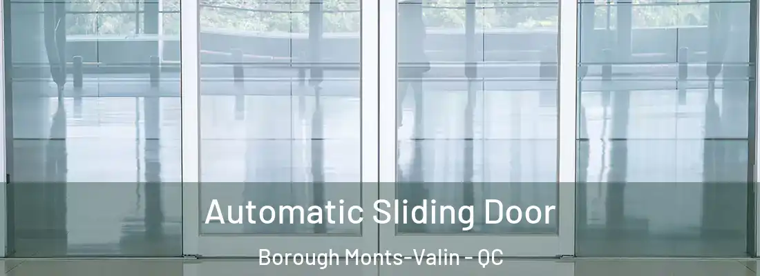Automatic Sliding Door Borough Monts-Valin - QC