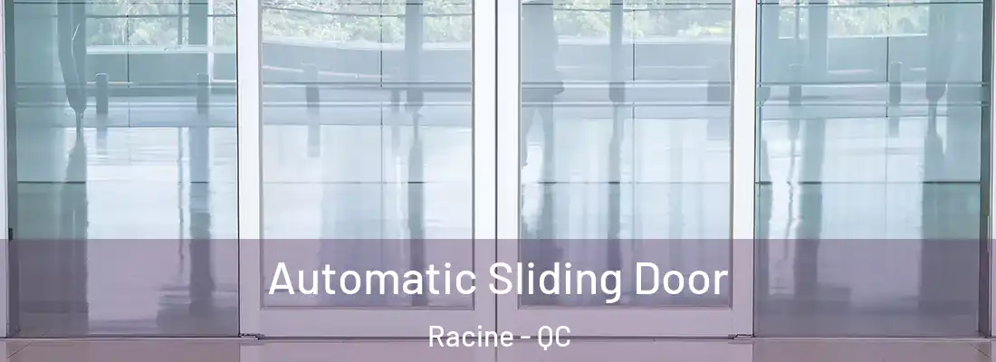 Automatic Sliding Door Racine - QC