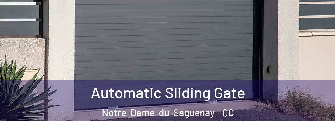  Automatic Sliding Gate Notre-Dame-du-Saguenay - QC