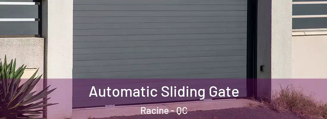  Automatic Sliding Gate Racine - QC