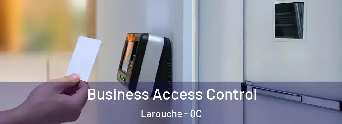 Business Access Control Larouche - QC