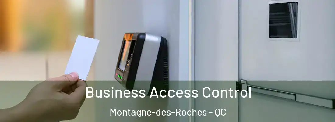 Business Access Control Montagne-des-Roches - QC