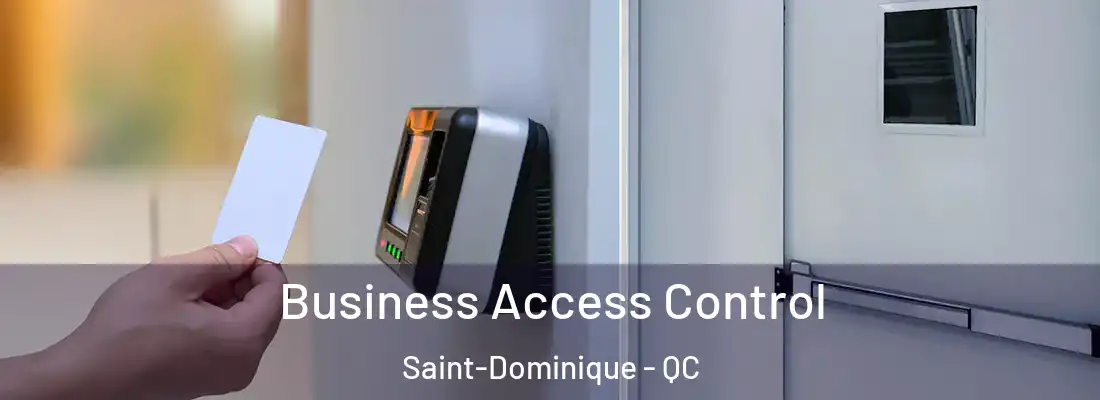  Business Access Control Saint-Dominique - QC
