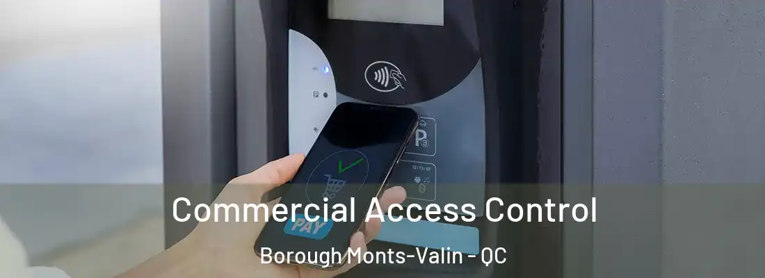  Commercial Access Control Borough Monts-Valin - QC