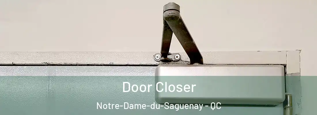 Door Closer Notre-Dame-du-Saguenay - QC