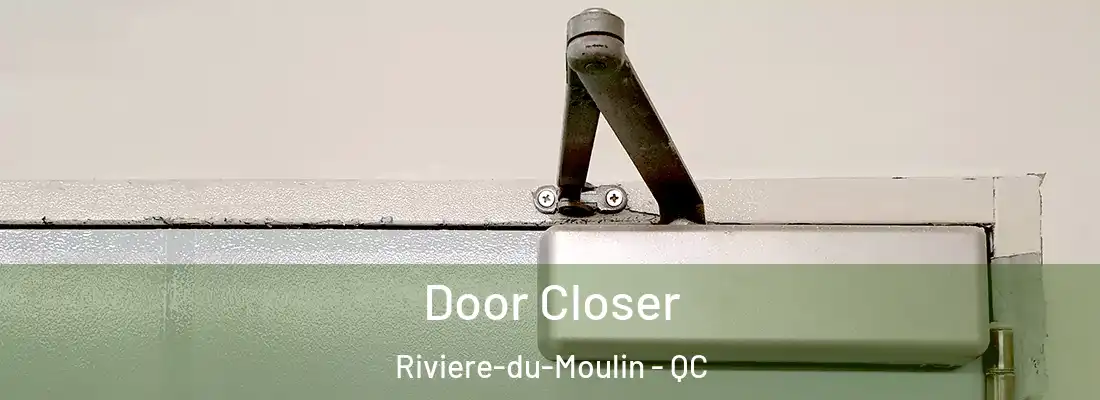 Door Closer Riviere-du-Moulin - QC