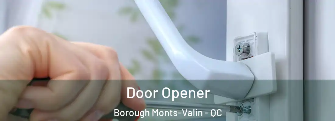 Door Opener Borough Monts-Valin - QC