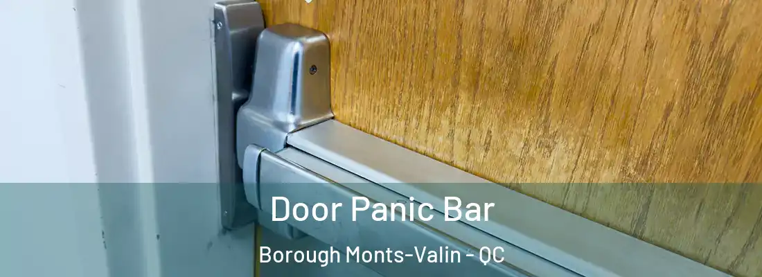  Door Panic Bar Borough Monts-Valin - QC