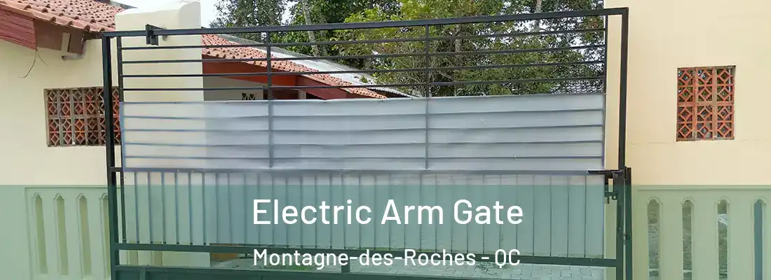 Electric Arm Gate Montagne-des-Roches - QC