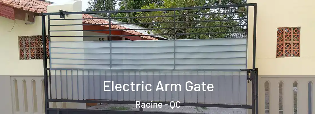  Electric Arm Gate Racine - QC