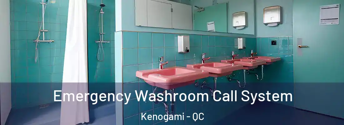  Emergency Washroom Call System Kenogami - QC