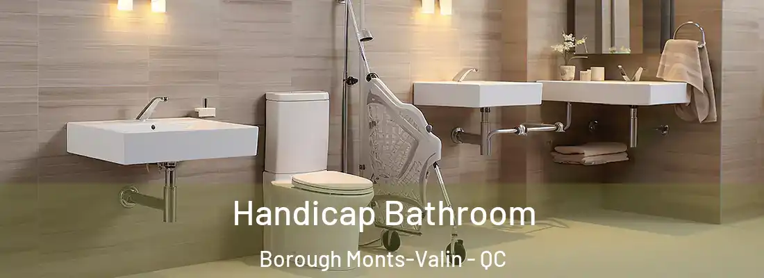 Handicap Bathroom Borough Monts-Valin - QC