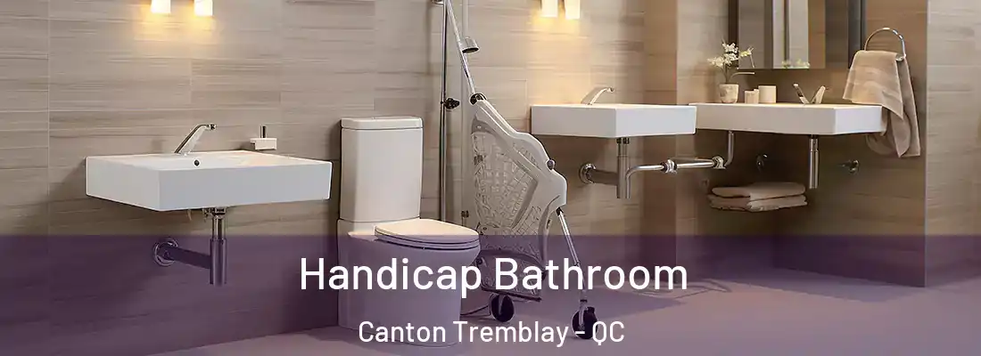 Handicap Bathroom Canton Tremblay - QC