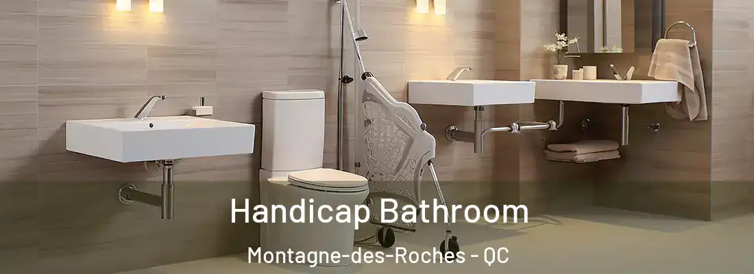 Handicap Bathroom Montagne-des-Roches - QC