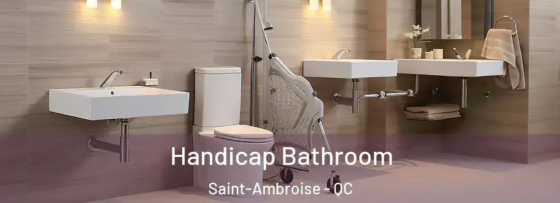  Handicap Bathroom Saint-Ambroise - QC