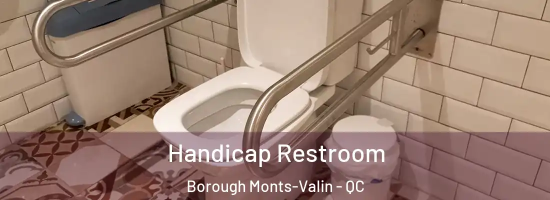 Handicap Restroom Borough Monts-Valin - QC