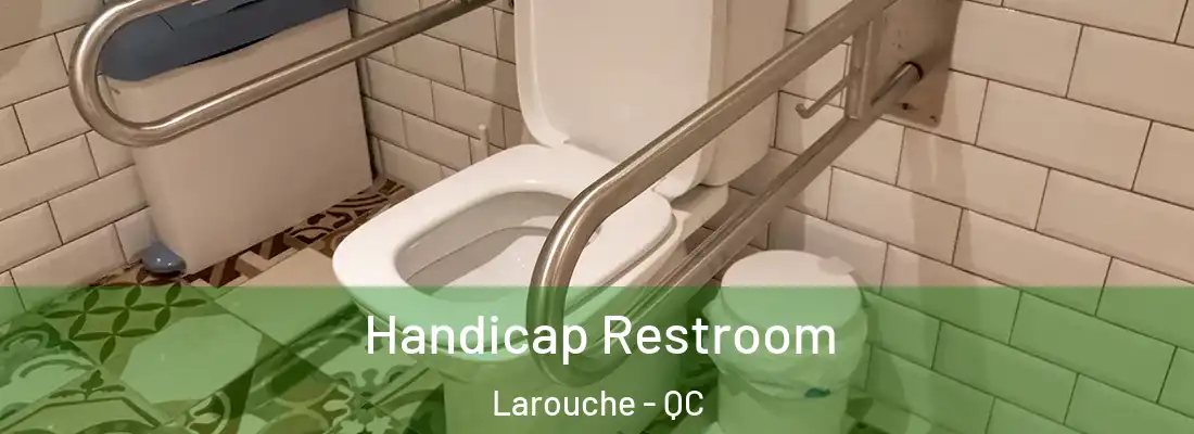  Handicap Restroom Larouche - QC