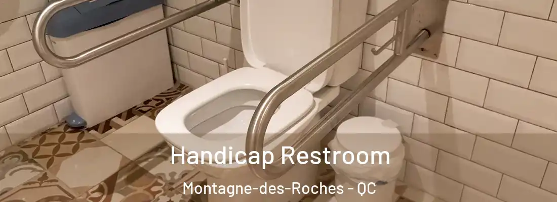  Handicap Restroom Montagne-des-Roches - QC