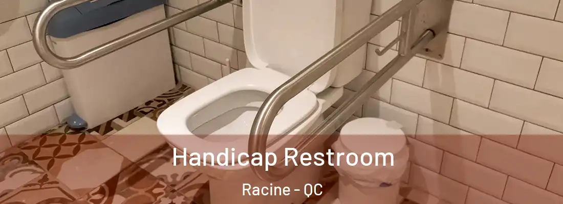  Handicap Restroom Racine - QC