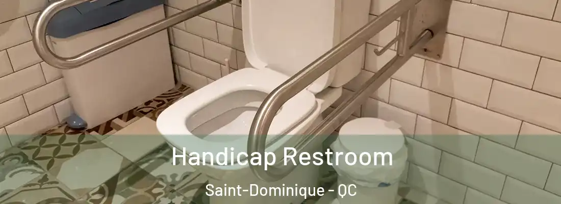 Handicap Restroom Saint-Dominique - QC