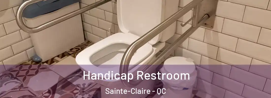  Handicap Restroom Sainte-Claire - QC