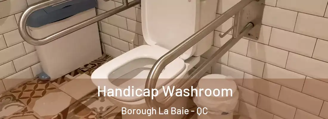 Handicap Washroom Borough La Baie - QC