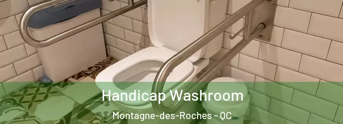  Handicap Washroom Montagne-des-Roches - QC