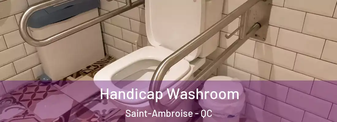  Handicap Washroom Saint-Ambroise - QC