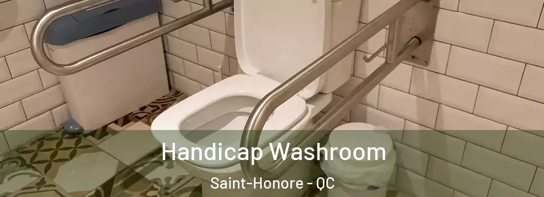 Handicap Washroom Saint-Honore - QC