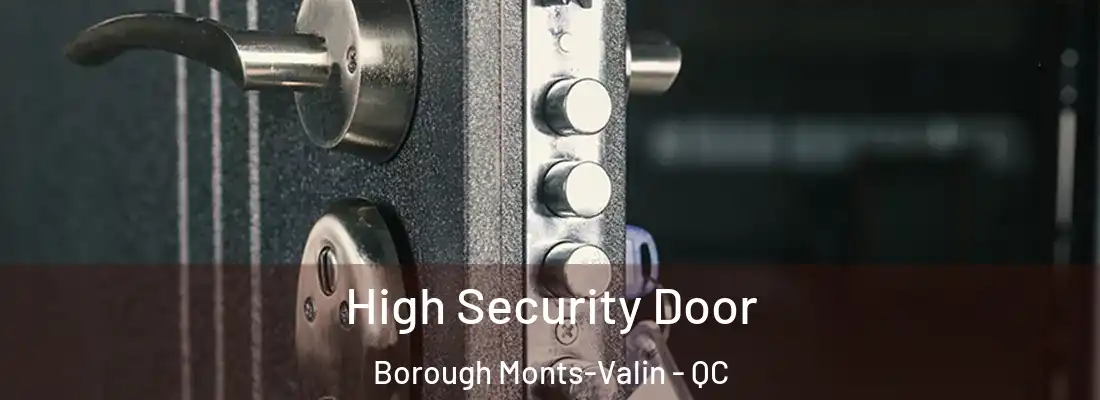 High Security Door Borough Monts-Valin - QC