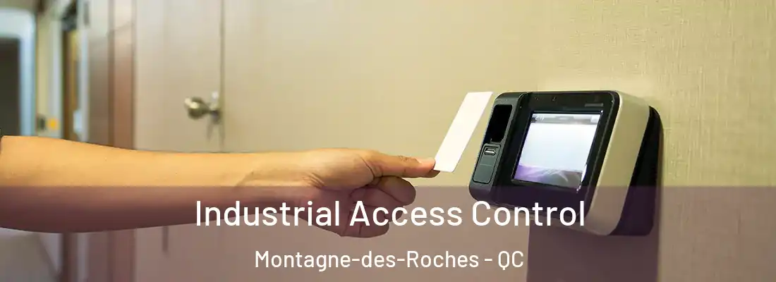 Industrial Access Control Montagne-des-Roches - QC