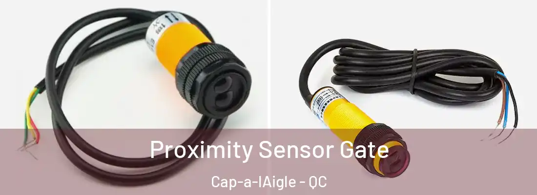 Proximity Sensor Gate Cap-a-lAigle - QC
