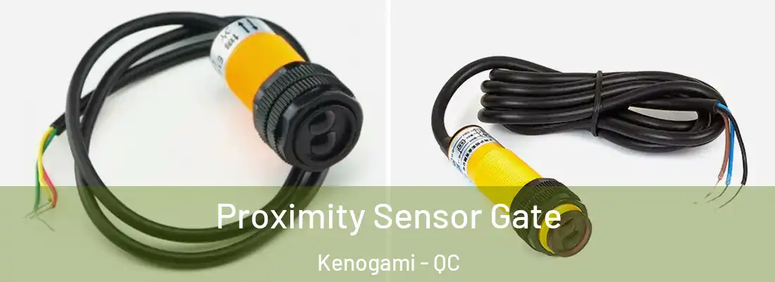  Proximity Sensor Gate Kenogami - QC
