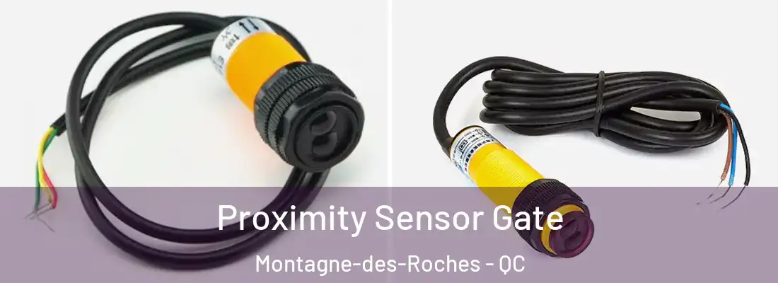  Proximity Sensor Gate Montagne-des-Roches - QC