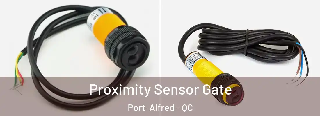  Proximity Sensor Gate Port-Alfred - QC