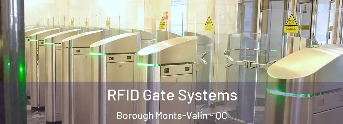 RFID Gate Systems Borough Monts-Valin - QC