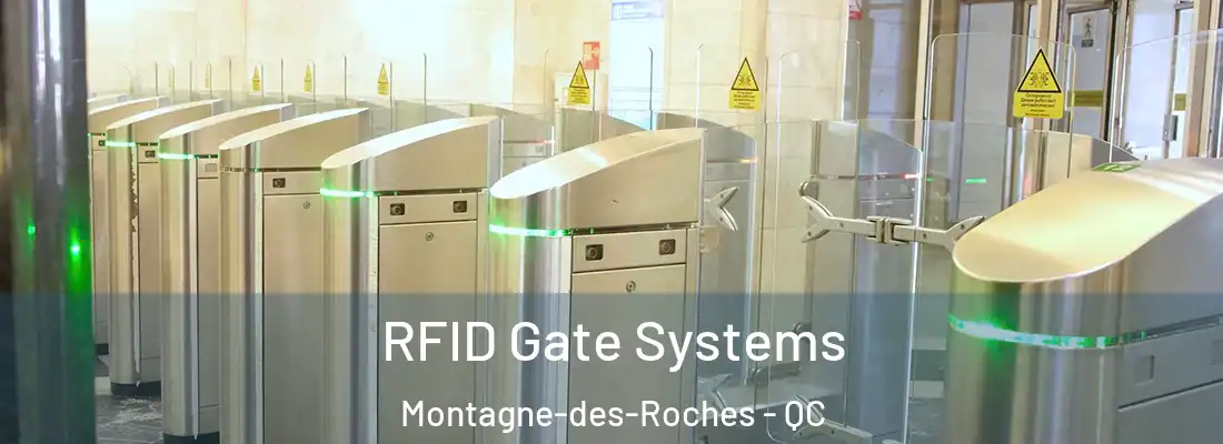 RFID Gate Systems Montagne-des-Roches - QC