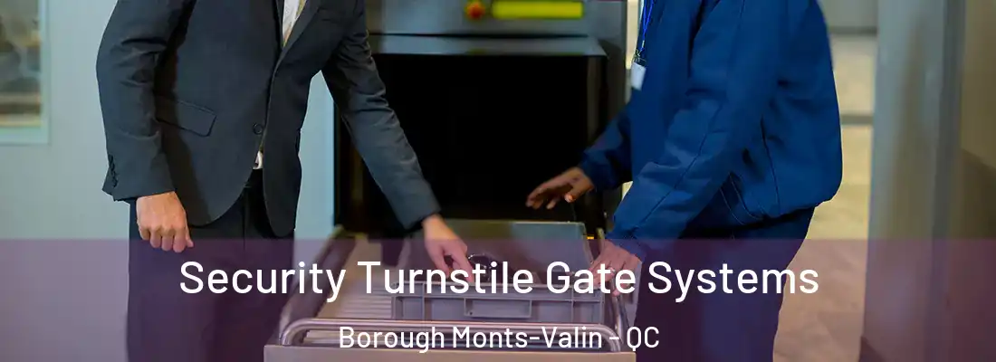  Security Turnstile Gate Systems Borough Monts-Valin - QC