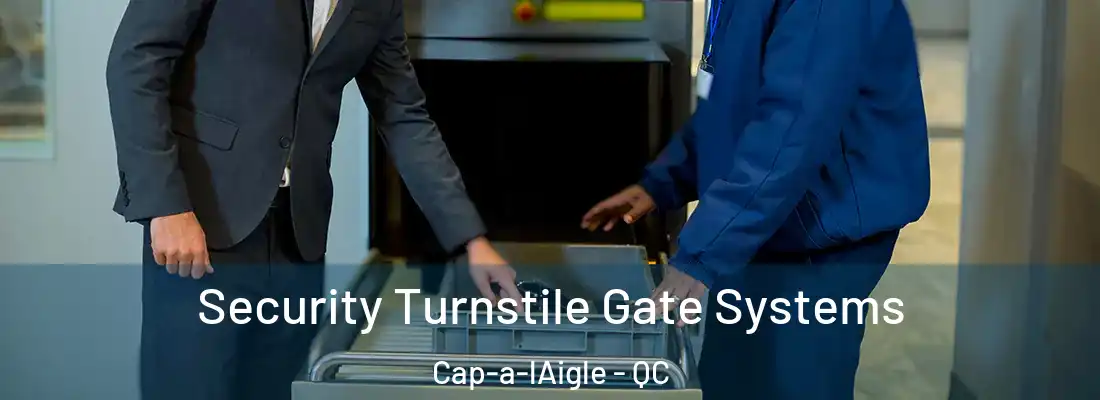Security Turnstile Gate Systems Cap-a-lAigle - QC