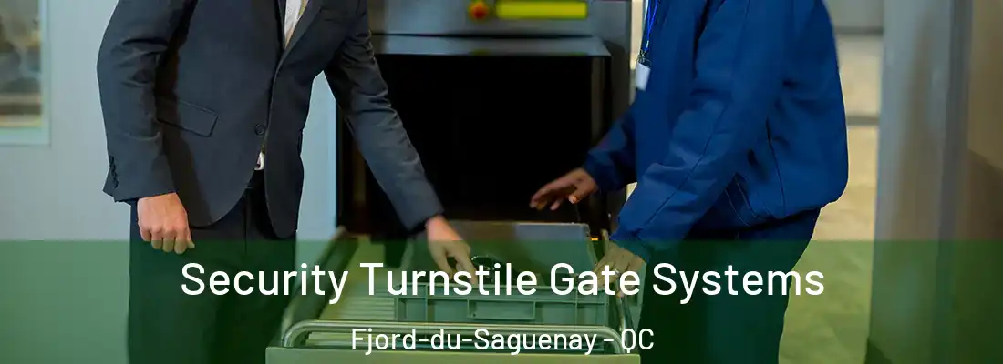 Security Turnstile Gate Systems Fjord-du-Saguenay - QC