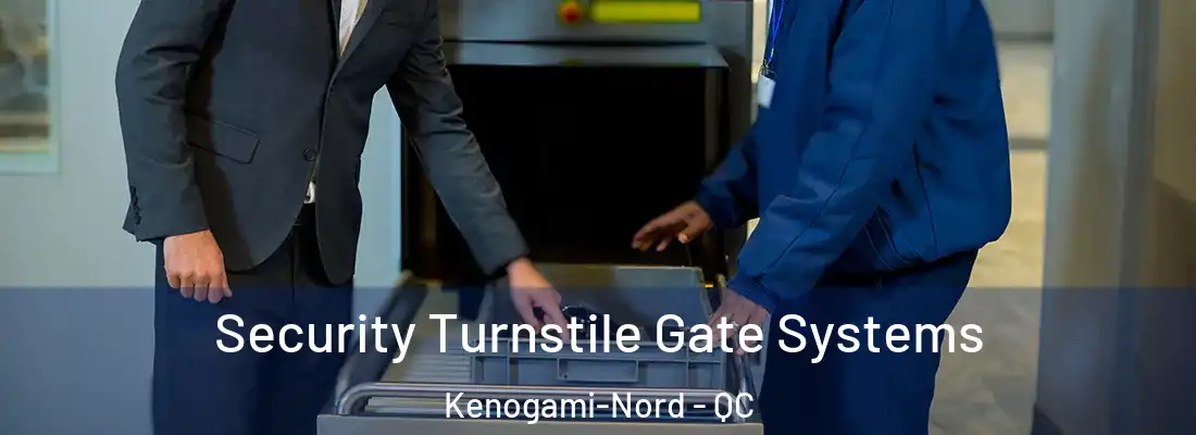  Security Turnstile Gate Systems Kenogami-Nord - QC