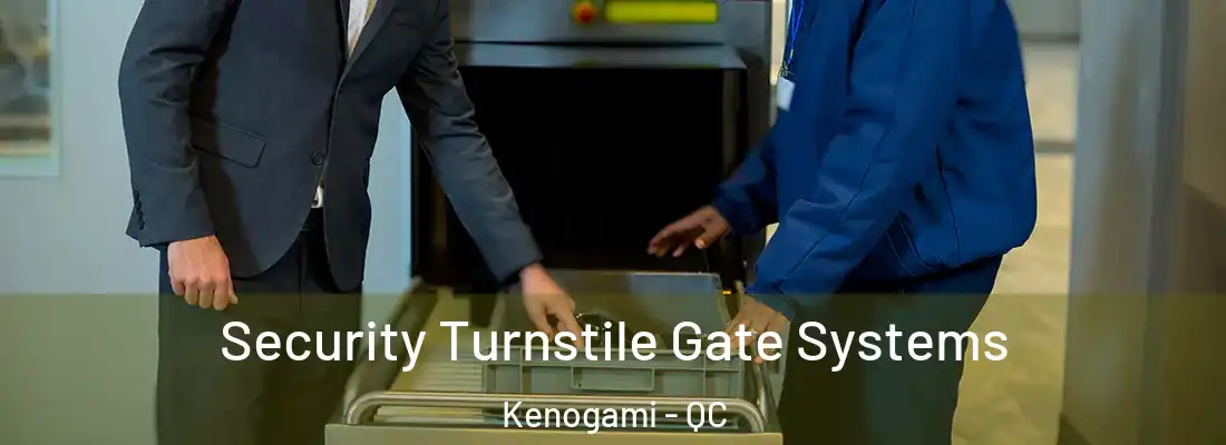 Security Turnstile Gate Systems Kenogami - QC