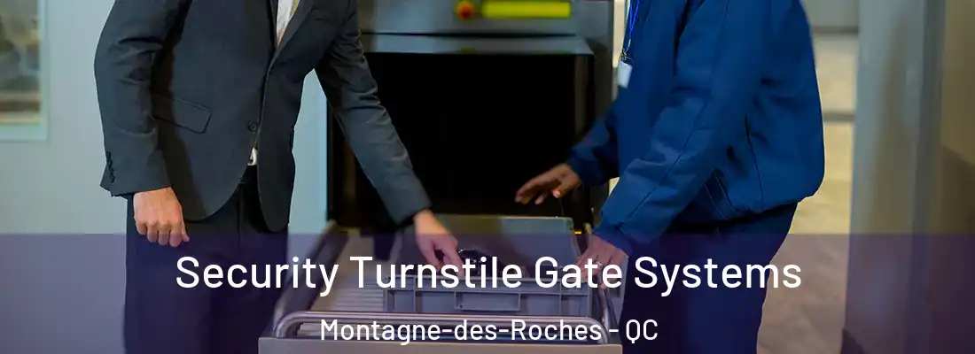  Security Turnstile Gate Systems Montagne-des-Roches - QC