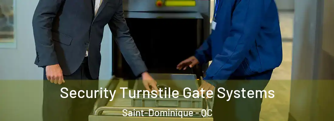 Security Turnstile Gate Systems Saint-Dominique - QC