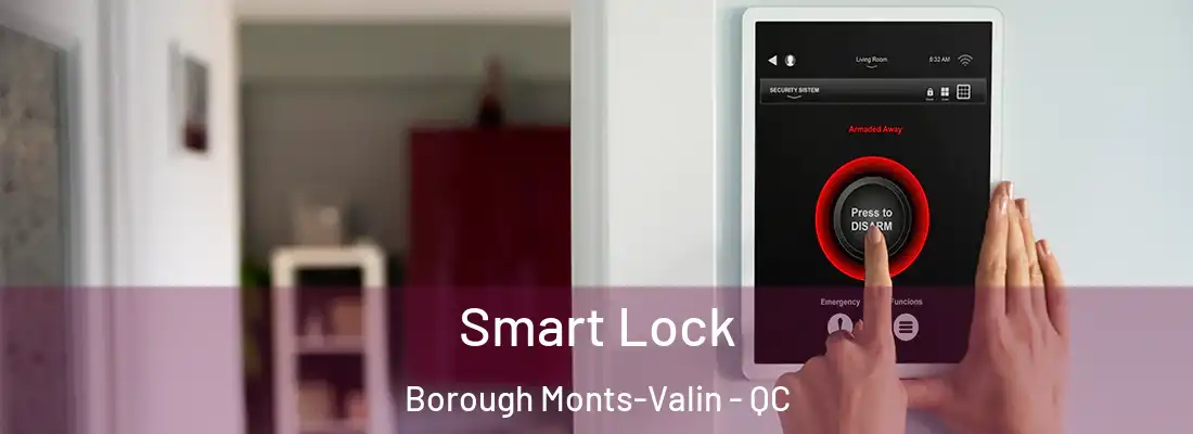 Smart Lock Borough Monts-Valin - QC